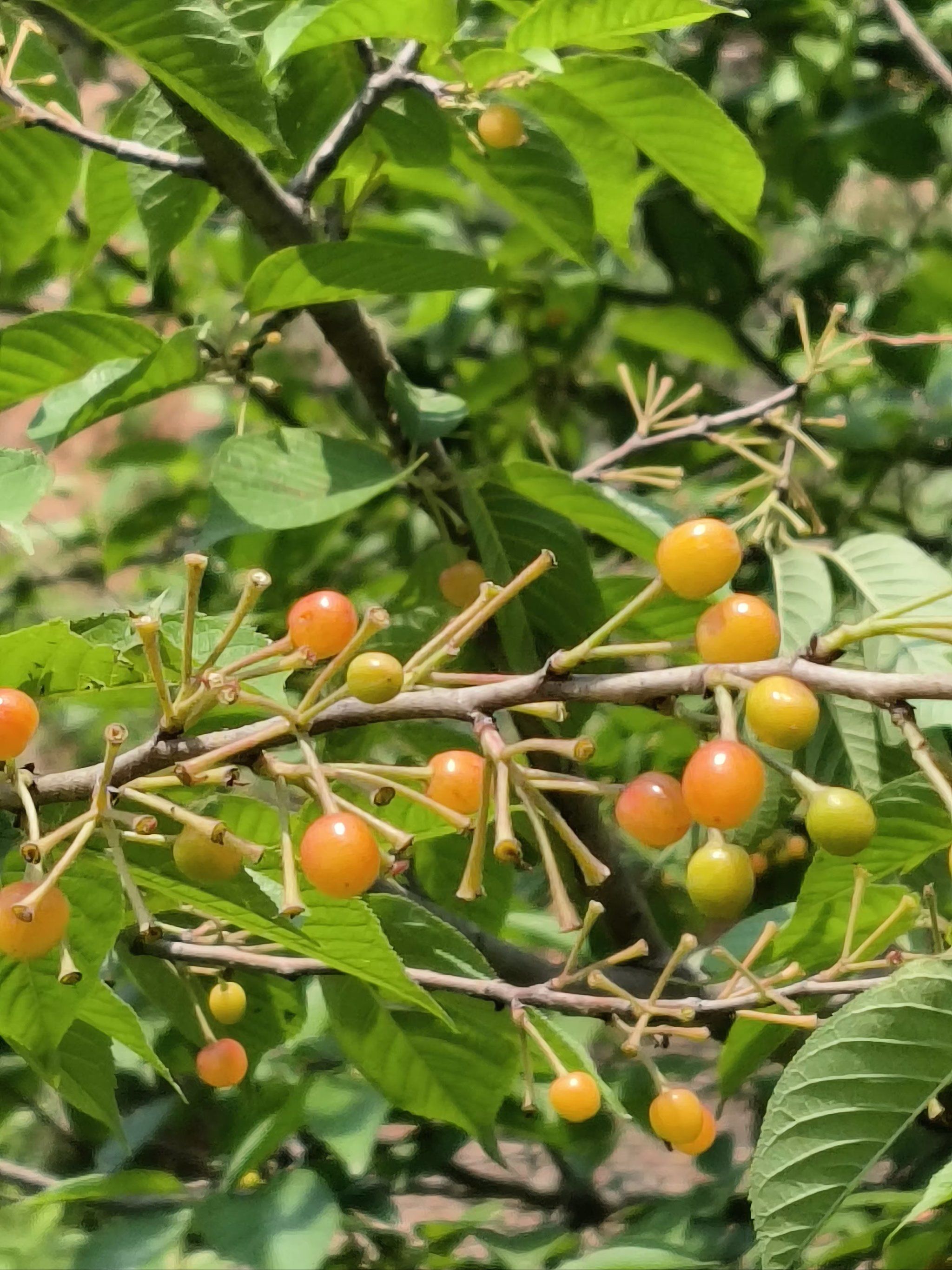 铜川军用棉花库