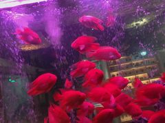 -胖哥俩肉蟹煲(杭州下沙学林街店)