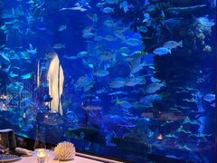 -迪拜帆船酒店海底餐厅