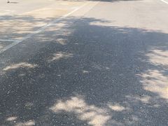 -小六汤包(万和城店)