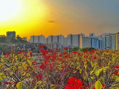 -白石龙音乐公园