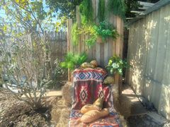 -美家乐农庄·露营·团建(大治路店)