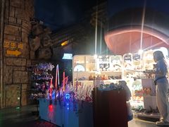 -芜湖新华联大白鲸海洋公园