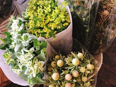 -秦美花卉(天朗·莱茵小城2期店)