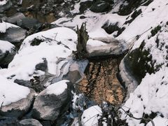 -青峰峡国家森林公园