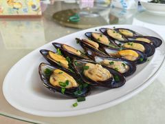 -魚當家