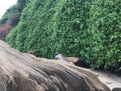 -滴水丹屏