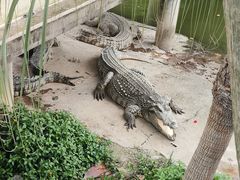 -广州长隆飞鸟乐园