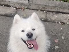 -宠颐生嘉德动物医院
