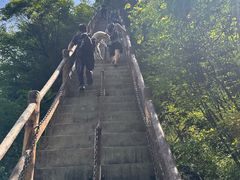 -西安祥峪森林公园