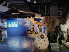 -重庆欢乐海底世界