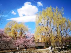 -北京市海淀外国语实验学校