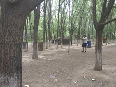 -亲兄弟真人CS团建拓展基地
