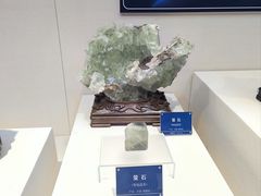 -安徽省地质博物馆