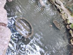 -溪口-滕头旅游景区