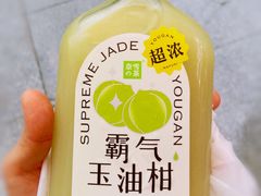 霸气玉油柑-奈雪的茶(百盛店)