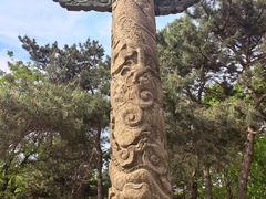 -北陵公园