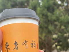 -普陀山雷迪森庄园