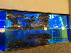 -顺峰顺水顺德菜(第一百货店)