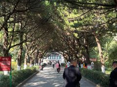 -南岳衡山风景名胜区-南岳大庙