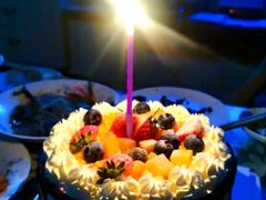 -今日·TODAY手作低脂动物奶油蛋糕定制(高新万达店)