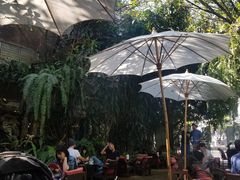 -Fern Forest Cafe