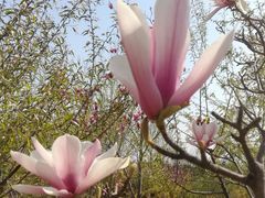 -永定河休闲森林公园