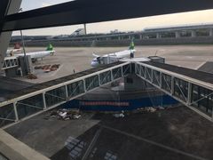 -上海浦东国际机场-T2航站楼