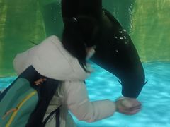 -大连圣亚海洋世界