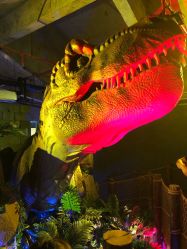 -恐龙探索乐园(磁器口店)