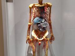 -陕西自然博物馆