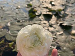 -河南省体育场馆中心游泳馆