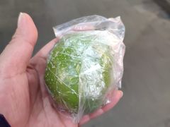-沈大成(城隍庙店)