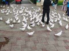 -国色天乡三期陆地乐园