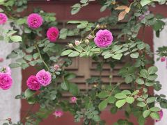 -龙华寺