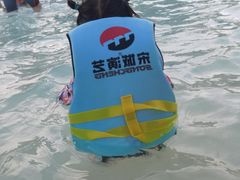 -杭州浪浪浪水公园