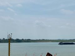 -羚羊峡古栈道森林公园