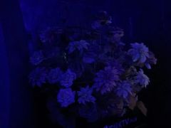 -方糖KTV-PLUS(世茂广场店)