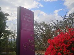 -西双版纳融创皇冠假日度假酒店