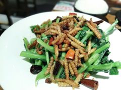 -茶花妹子云南餐厅(北大店)
