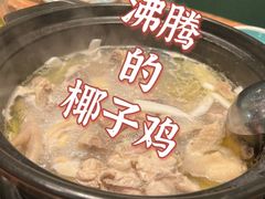 -春润大地海南椰子鸡(沙井京基百纳广场店)