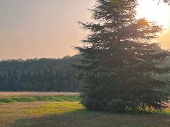 -汉长安城未央宫国家考古遗址公园