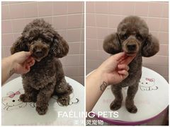 -FAELING PETS美天灵宠物(富力广场店)