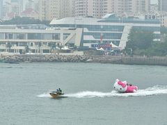 -小麦岛公园