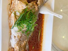 -澳门环岛游湾仔码头