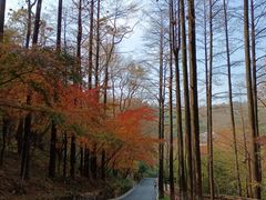 -莫干山风景区