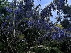 -海上云台山景区