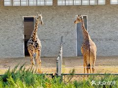 -石家庄市动物园