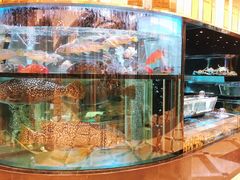 -金翠皇宫粤菜·点心·海鲜(科技园店)