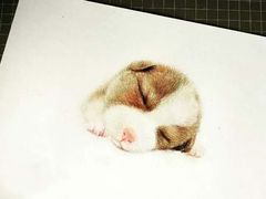 -八哥美术·成人美术画室(总校区)
